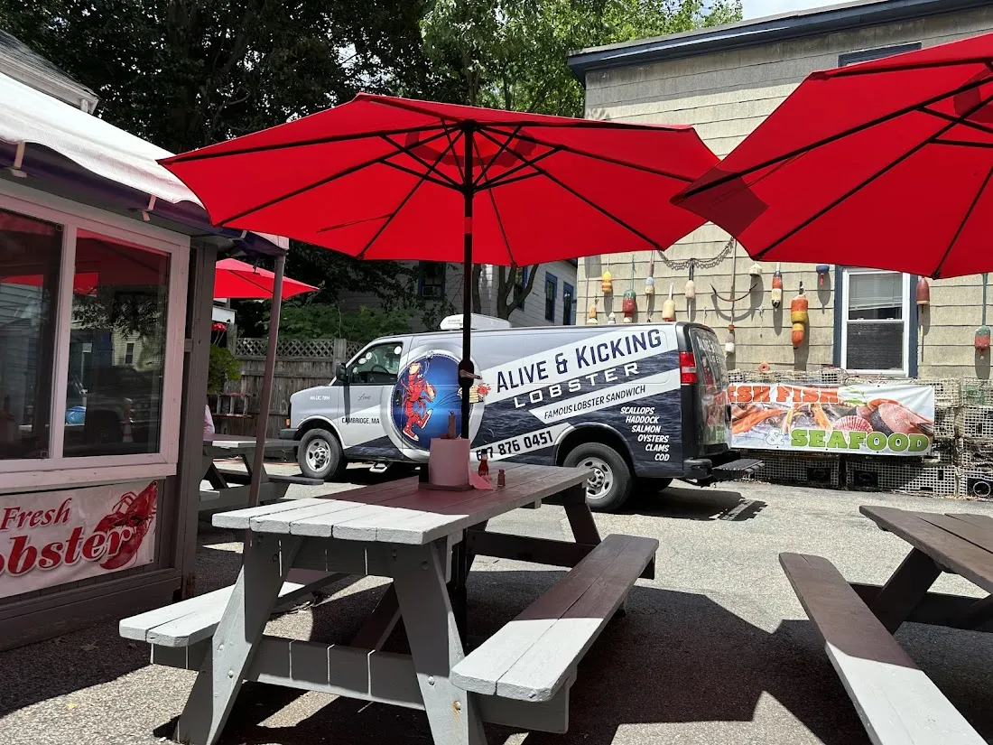 Alive & Kicking Lobsters